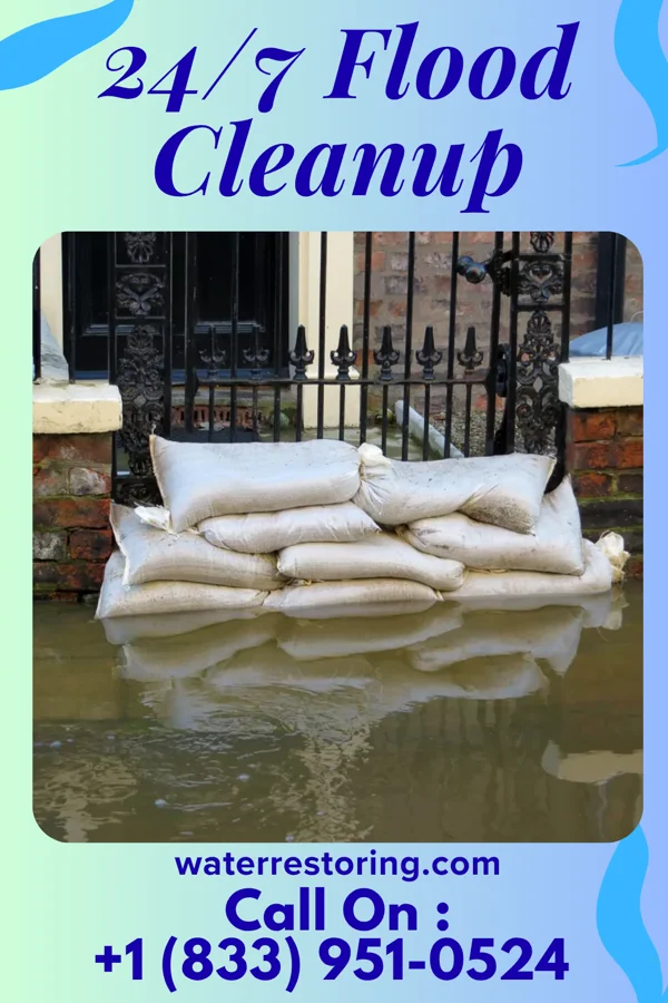 24/7 Flood Cleanup in Roseland, LA