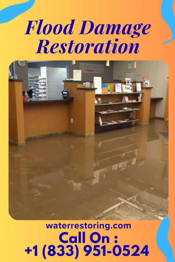 Flood Damage Restoration in Roseland, LA
