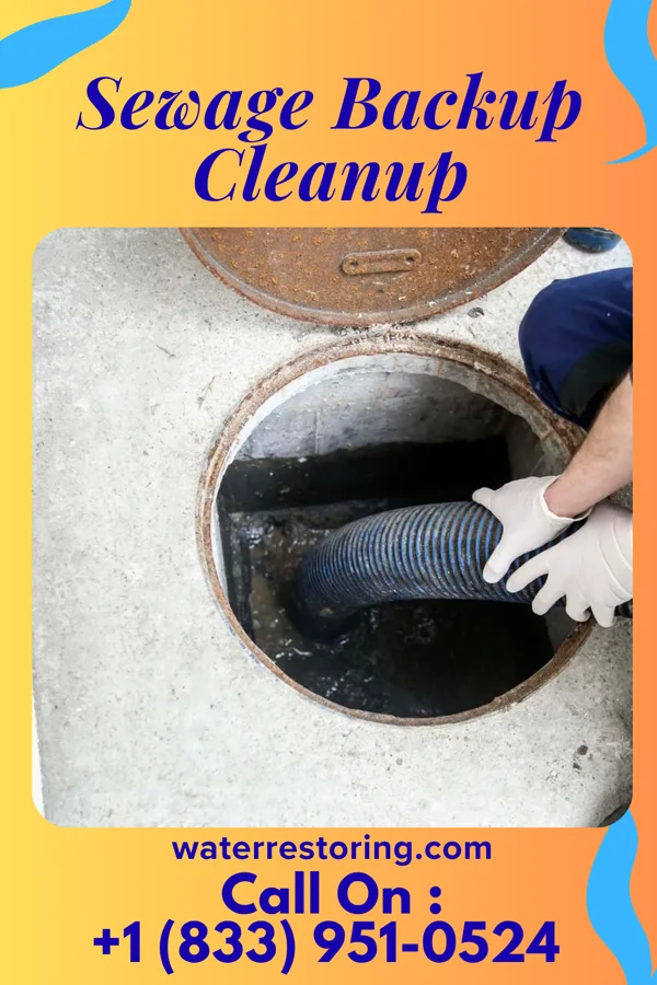 Sewage Backup Cleanup in Roseland, LA